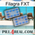 Filagra FXT 20